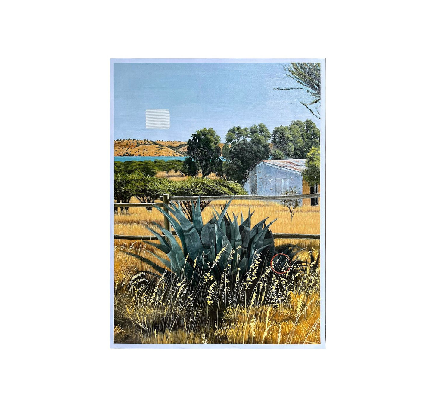 Verano