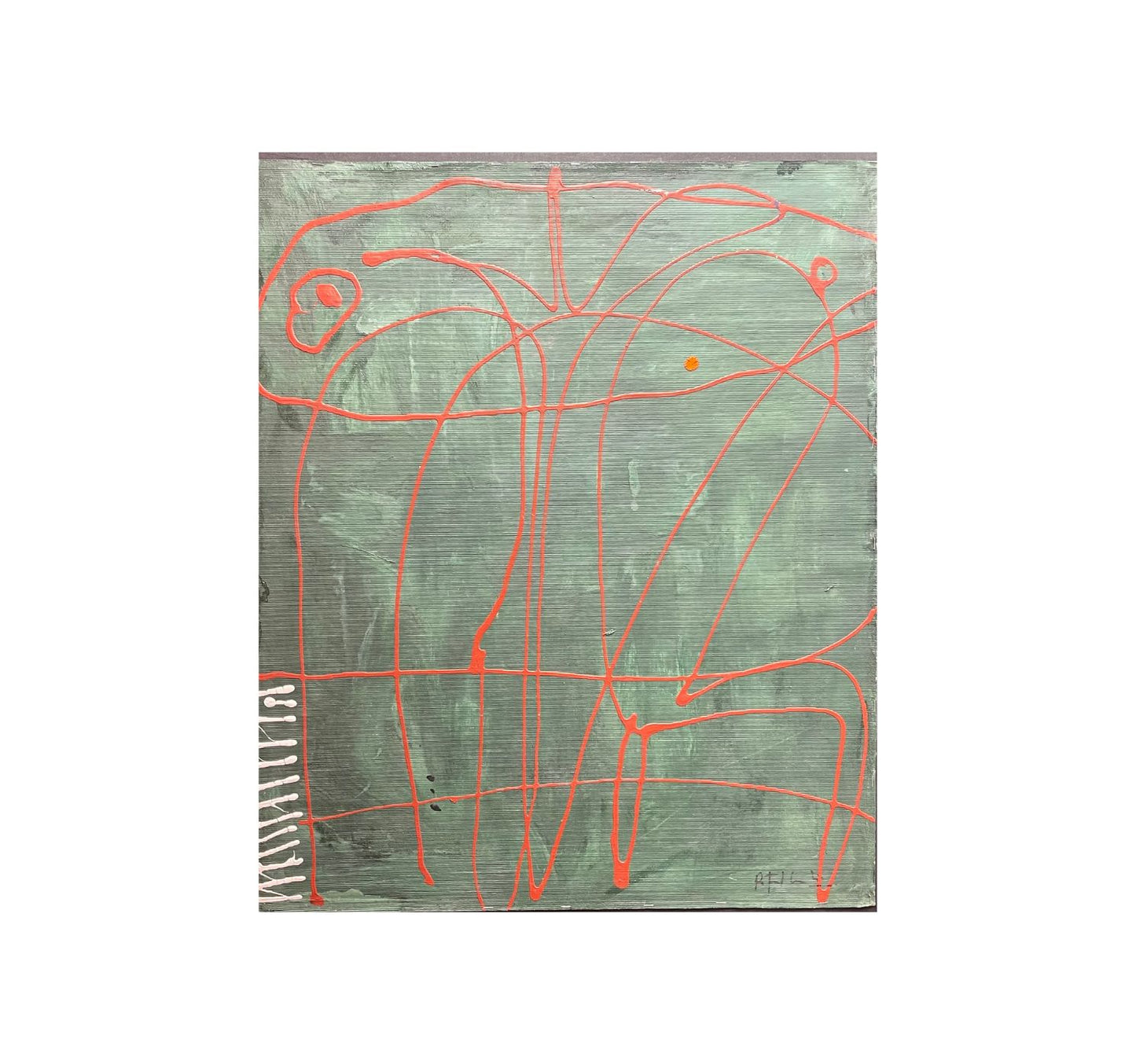 Anatomía