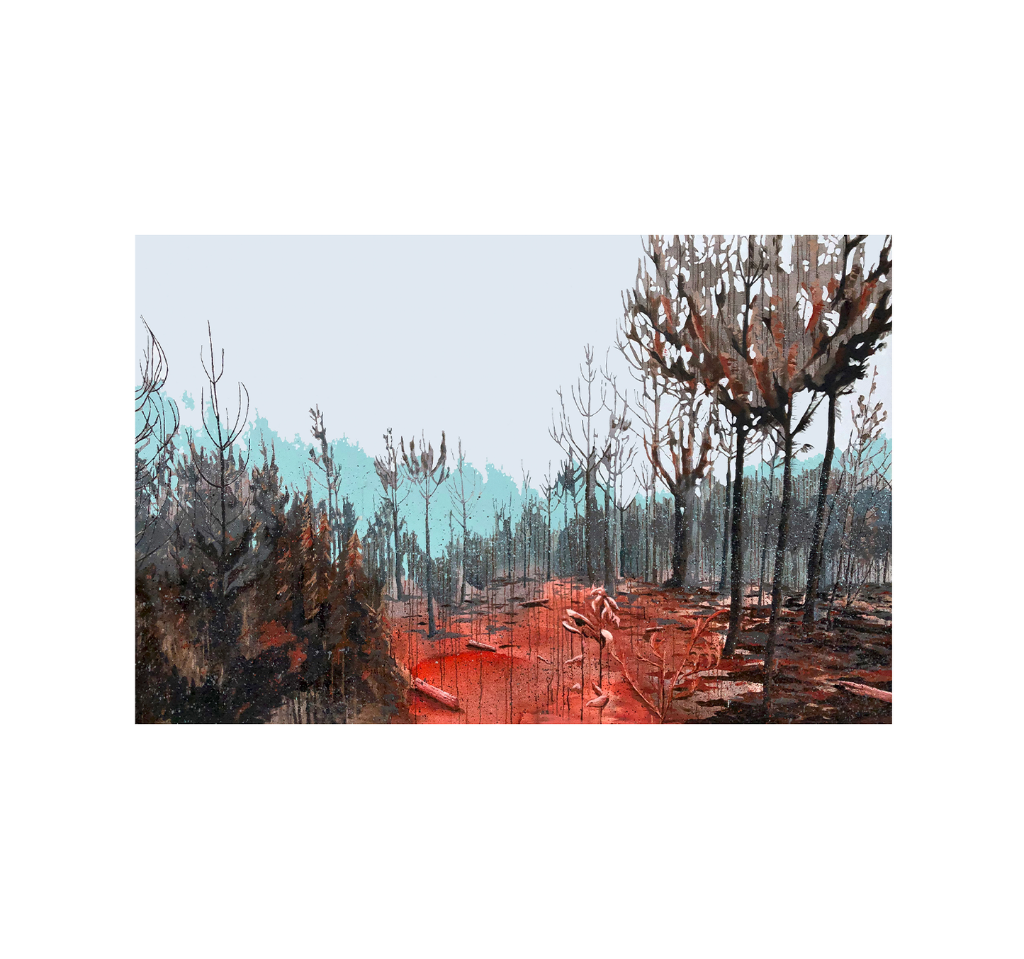 Tierra