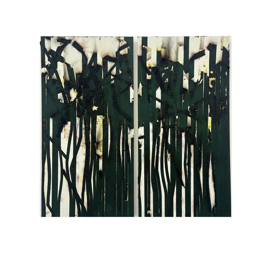 s/t